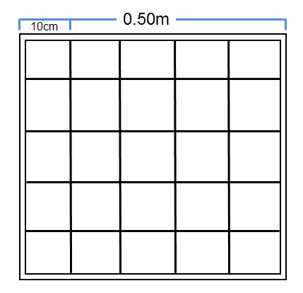 Image of a quadrat